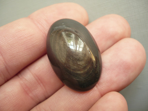 Kabošon - obsidián zlatý 31 mm, č.3f
