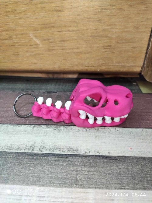 Lebka T-Rex - klíčenka - dvoubarevné — foto 1