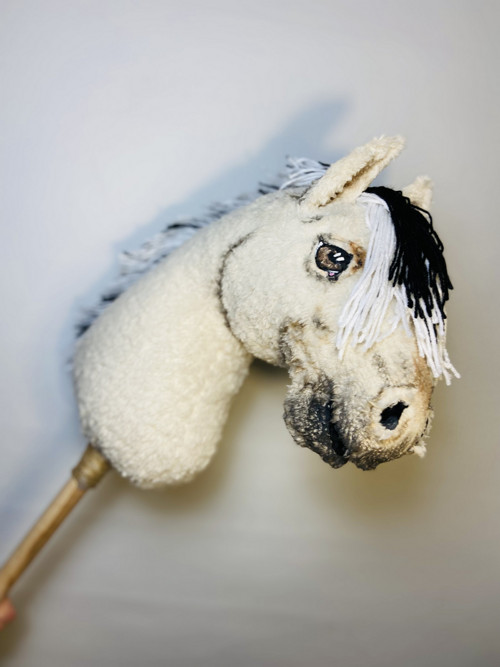 Fjord - Hobby horse — foto 1