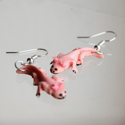 Axolotl — foto 1
