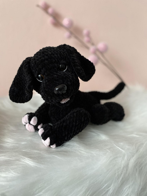 Háčkovaný černý labrador s hnědými oči — foto 1