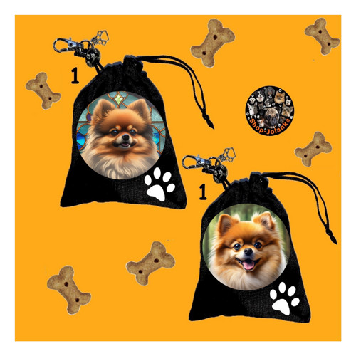 Špic Pomeranian Pamlsovník
