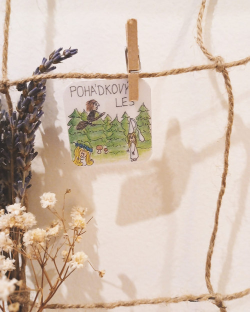 Pohádkový les — foto 1