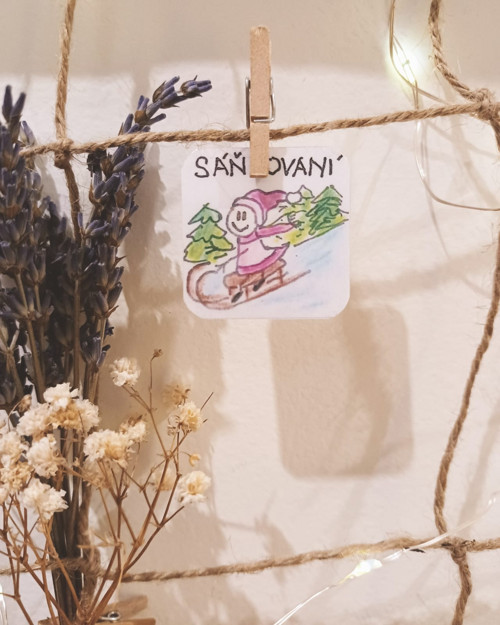 Sáňkování — foto 1