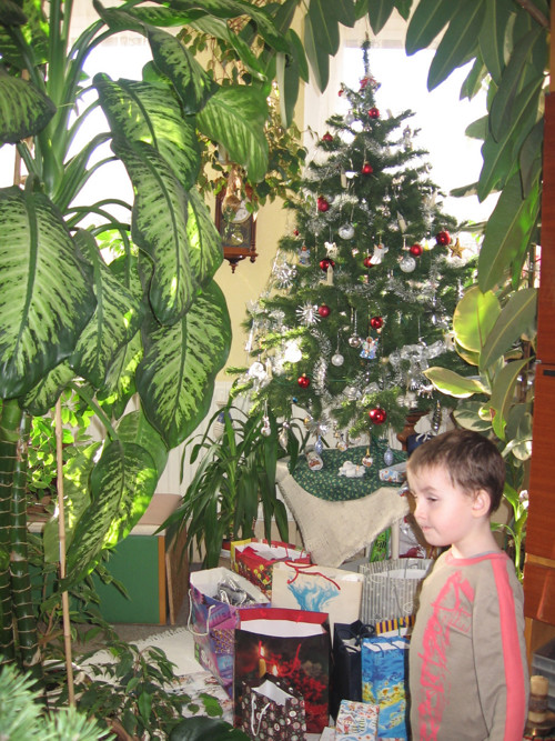 Vánoční stromeček r. 2011