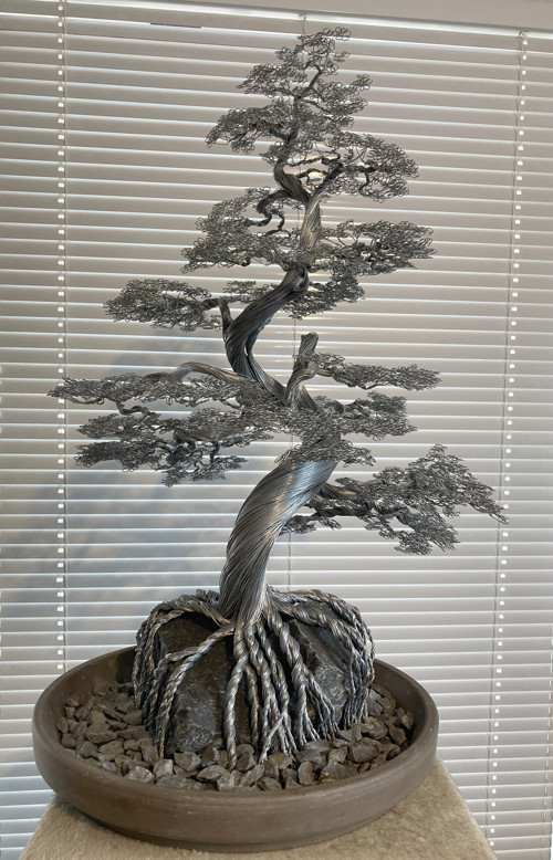 Bonsai 38