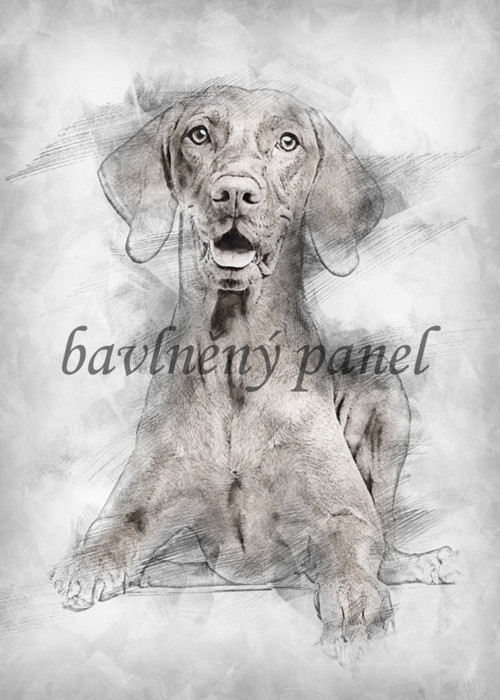Bavlněný panel Akvarel 300