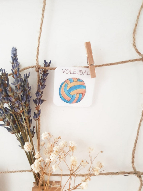 Volejbal