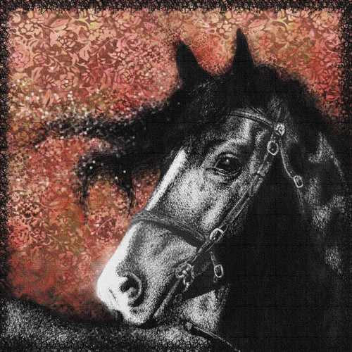 Gypsy horse (zarámováno). — foto 1