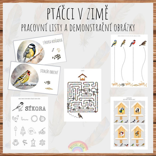 Ptáčci v zimě, pracovní listy