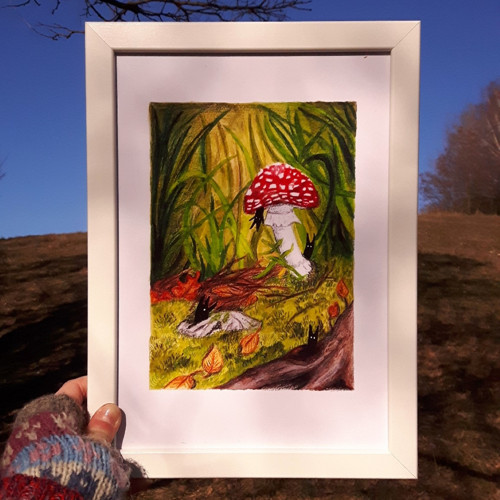 Reprodukce/ tisk/ print: "Muchomůrka"