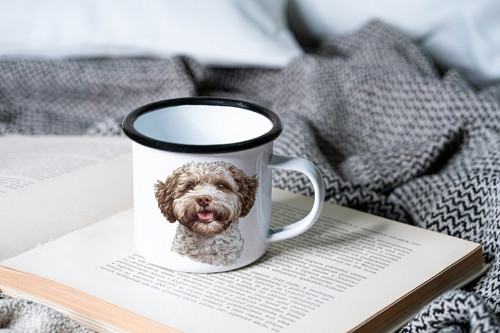 Plecháček - Lagotto romagnolo