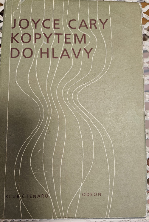 Kopytem do hlavy — foto 1