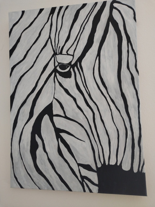 Obraz zebra