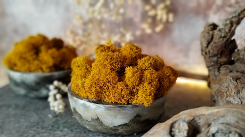 Beton-miska "Mech+curry" — foto 1