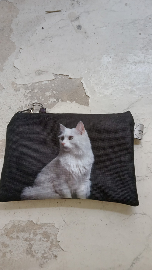 Bílá kočka
