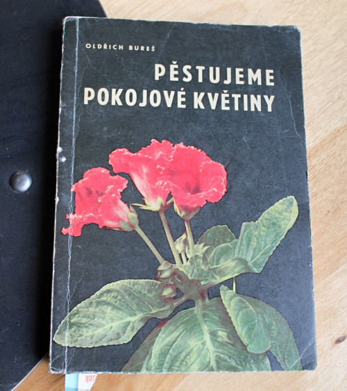 Pěstujeme pokojové květiny Oldřich Bureš