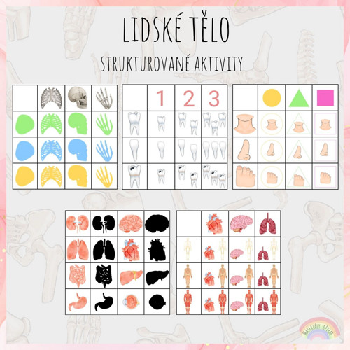 Lidské tělo, strukturované aktivity