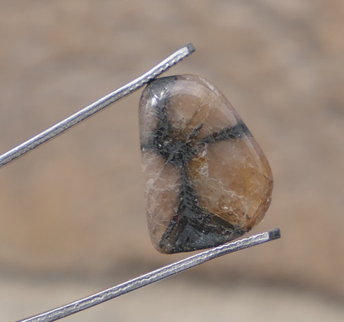 Chiastolit (17 mm) V459