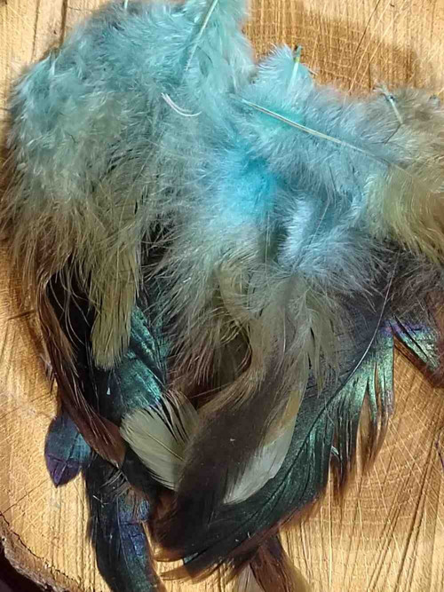 Slepičí peří délka 6-20 cm 5 ks mint