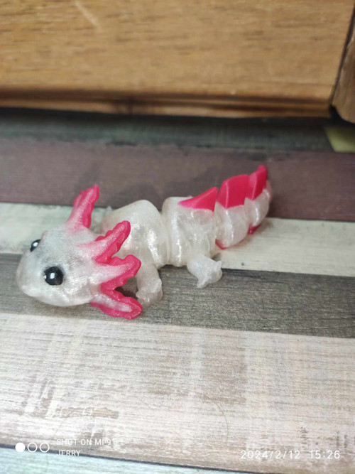 Malý Axolotl - hýbací - barevný