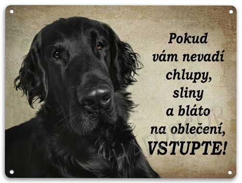 Flat coated retrívr- sliny a bláto — foto 1