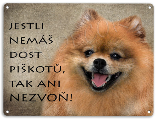 Špic - piškoty — foto 1