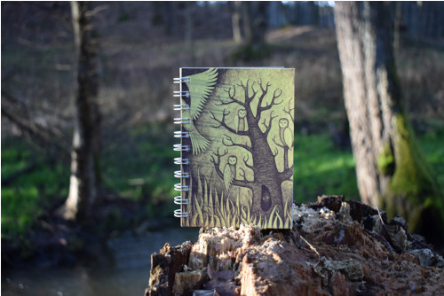Notes větší Sovy