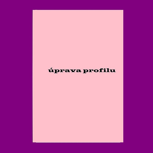 Dekorace č.1141 — foto 1
