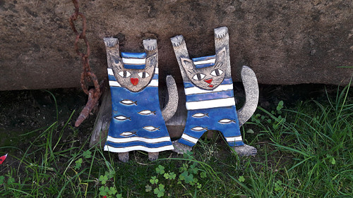Kočičky - námořníci