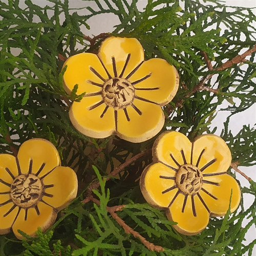 Barevné květiny - tmavě žluté — foto 1