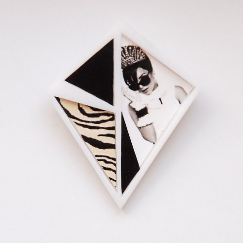 With zebra — foto 1