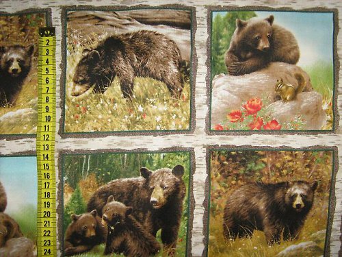 Panel - méďové — foto 1
