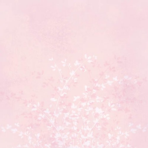 Rose Colored Glasses - SOFT VINES — foto 1