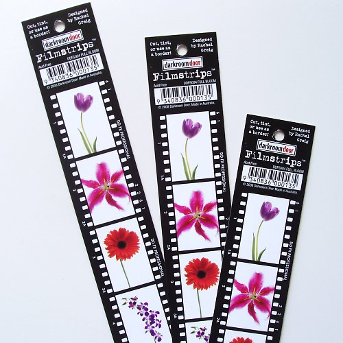 Filmstrips - FULL BLOOM — foto 1