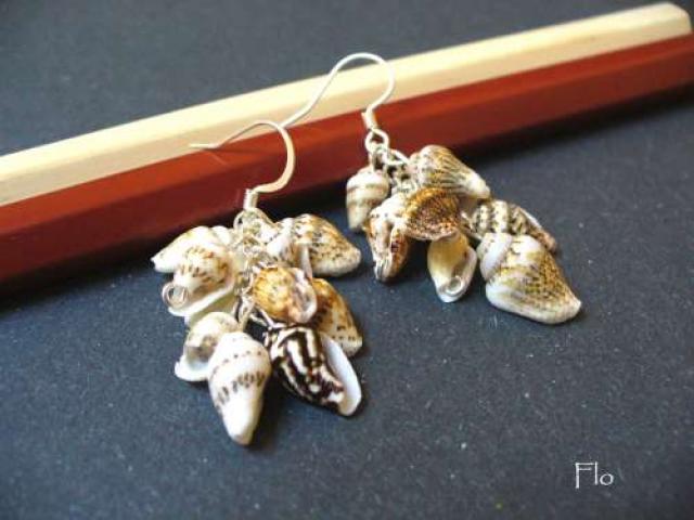 Mottled shells — foto 1