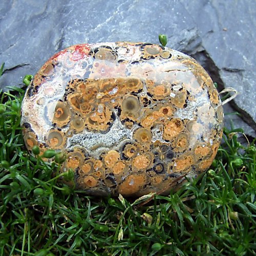 Jaspis Leopardí — foto 1