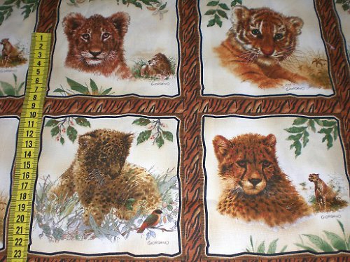 Panel safari — foto 1