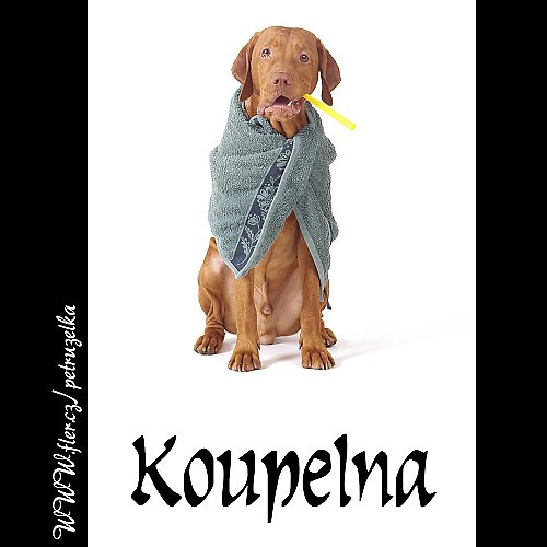 Koupelna - maďaří — foto 1