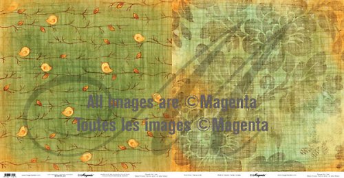 Magenta - LAST SERENADE — foto 1