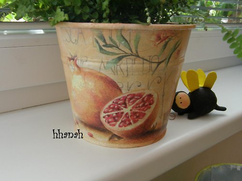 ...granátové jablíčko.... — foto 1