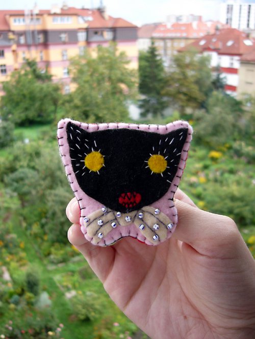 Kočičí duch — foto 1