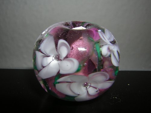 Fialovobílá — foto 1