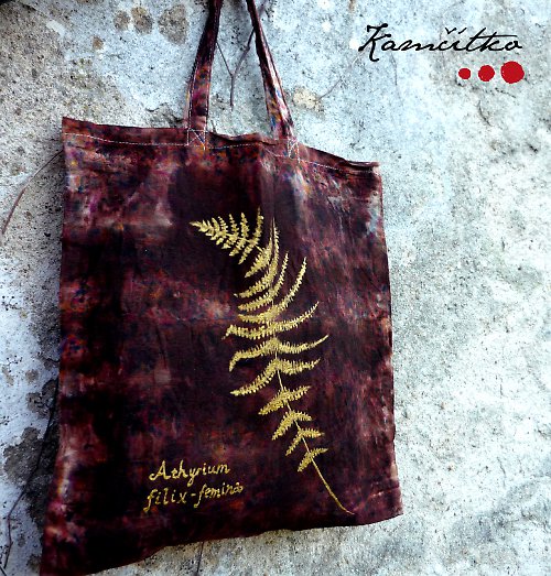 Athyrium filix-femina — foto 1