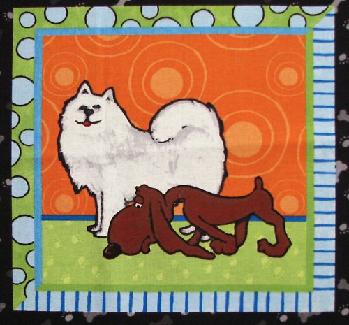 Panel — foto 1
