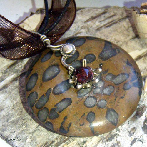 Africký amulet - hvězdičkovití — foto 1