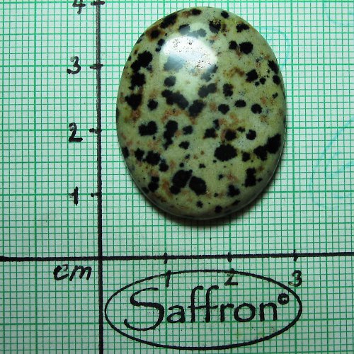 Dalmatin Jaspis - kabošon č.1 — foto 1