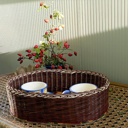 Spadané listí — foto 1
