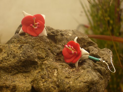 Fuchsie — foto 1