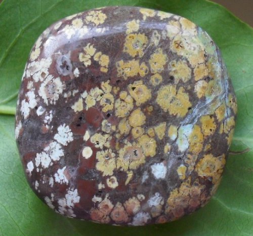Jaspis leopard 44x44mm — foto 1